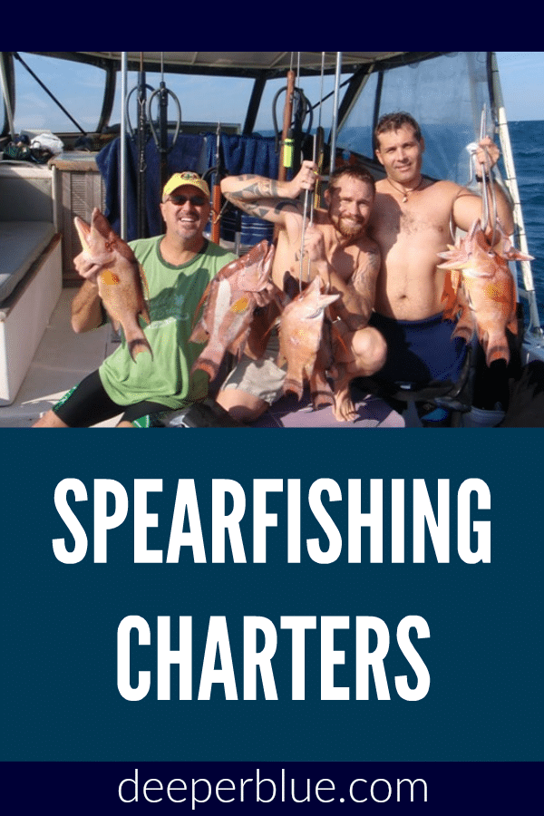 Spearfishing Charters