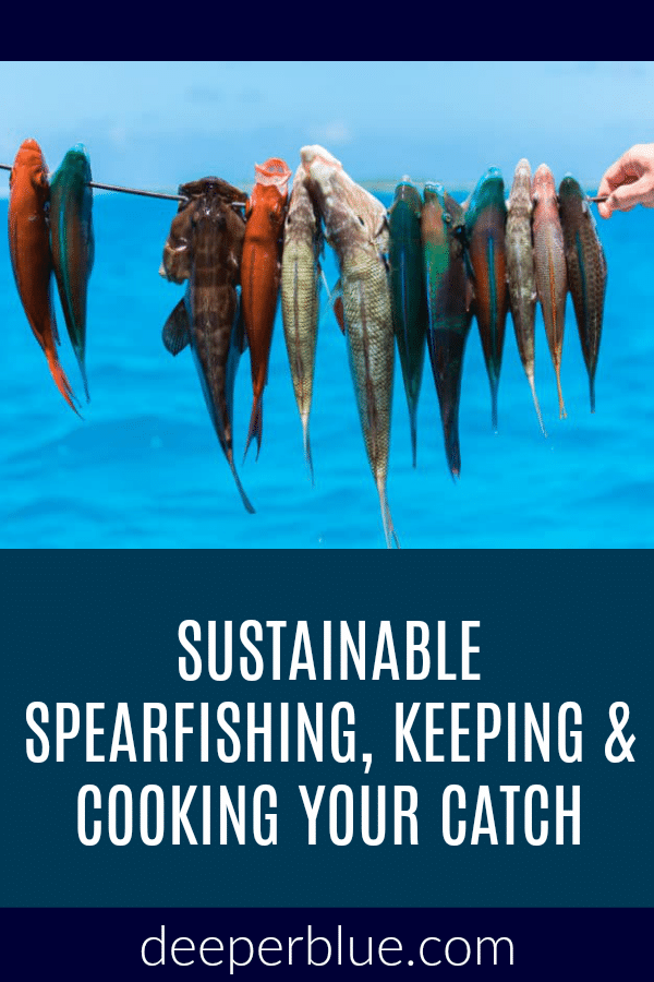 Sustainable Spearfishing, Keeping & Cooking Your Catch