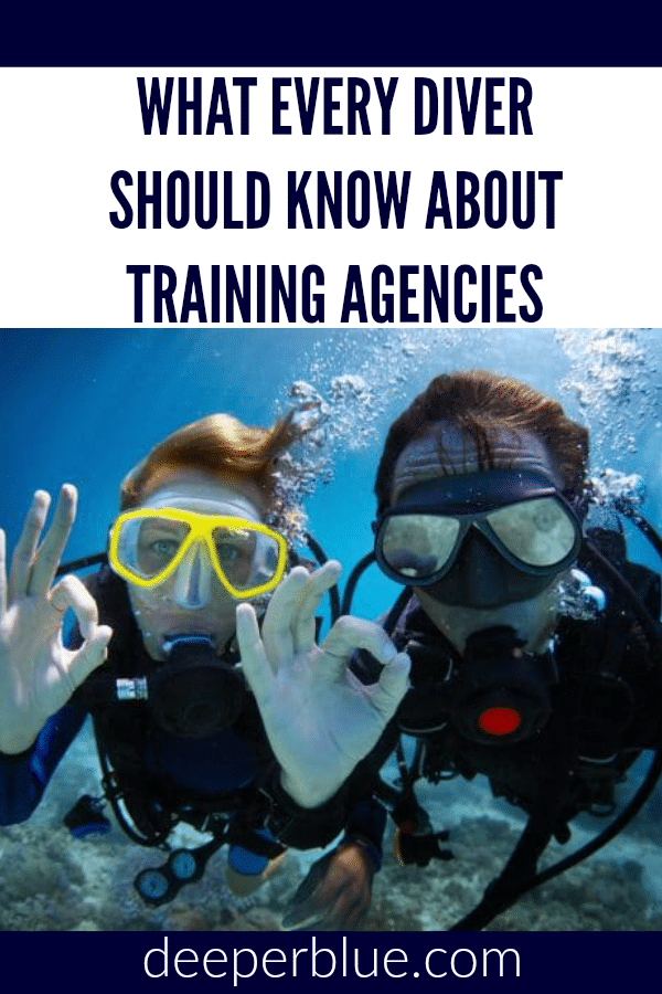What Every Diver Should Know About Training Agencies
