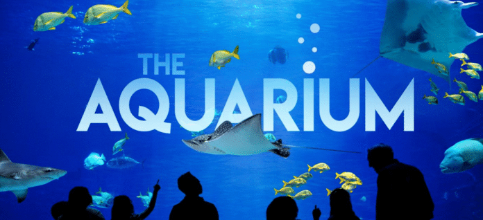 Check Out Animal Planet's New TV Series 'The Aquarium'