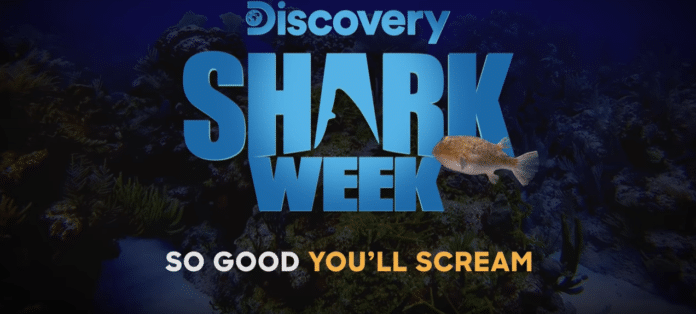 Shark Week 2019