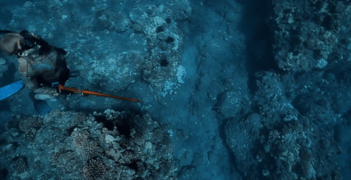 Kimi Werner Teaches Gordon Ramsay How To Spearfish
