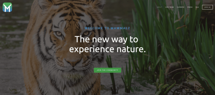 Mammalz - the new way to experience nature
