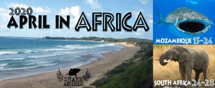 Off The Beaten Path: Africa With Shark Angels