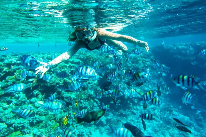 Snorkeling over a reef