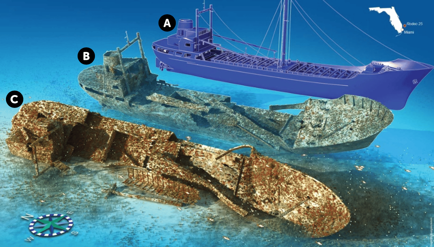 Wreck Panel from Reef Smart Guides