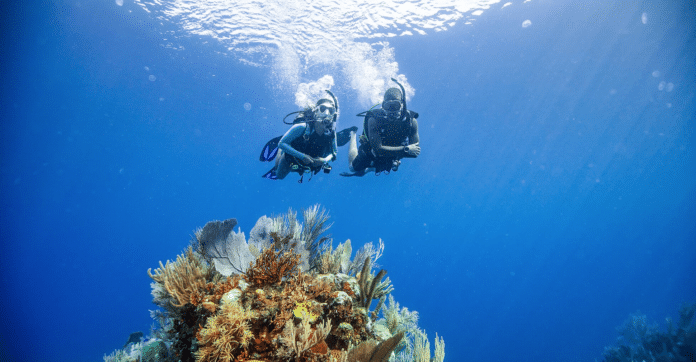 PADI Offering Black Friday, Cyber Monday Deals