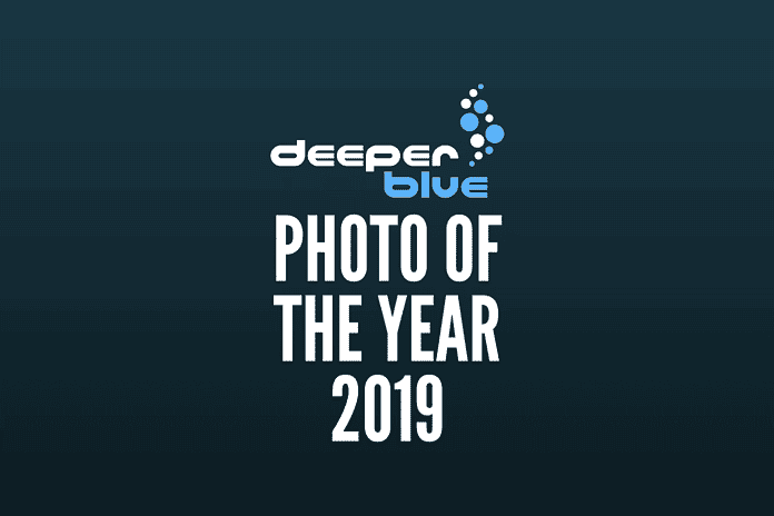 DeeperBlue.com - Photo Of The Year 2019