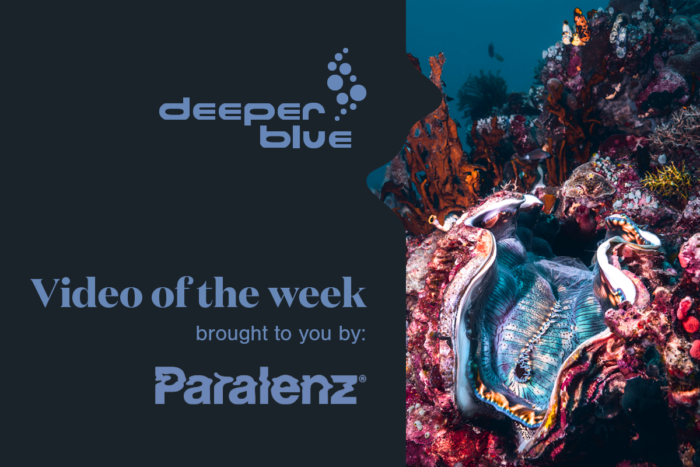Paralenz Video Of The Week
