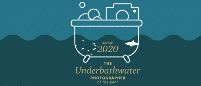 Fourth Element's 2020 Underbathwater Photographer Of The Year Contest