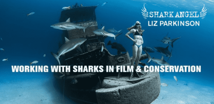 Shark Angels Earth Day 2020 webinar with stuntwoman Liz Parkinson (Image credit: Lia Barrett)