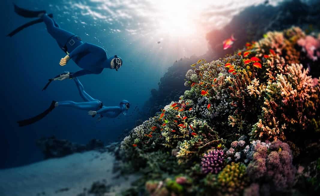 Two freedivers swim over the vivid coral reef