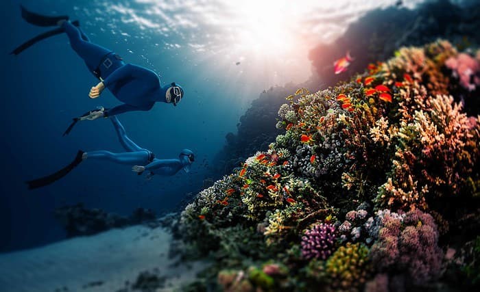 Two freedivers swim over a coral reef