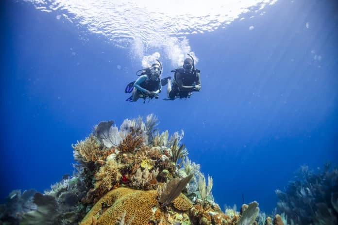 PADI Calls On Divers To Save The Ocean from Home On Earth Day