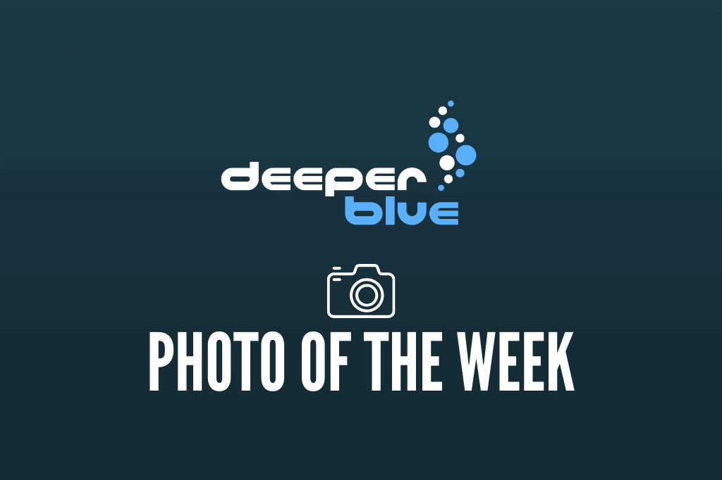 DeeperBlue.com - Photo of the Week - 2020