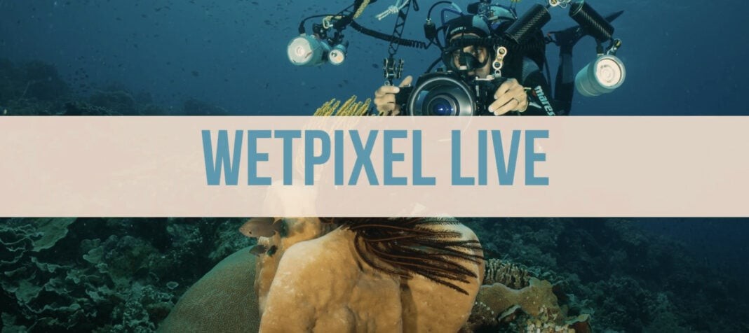 Wetpixel Announces Launch Of 'Wetpixel Live'
