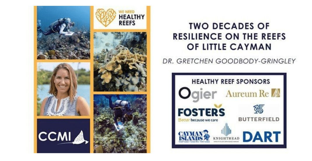 CCMI Presents A Look at Two Decades of Reef Resilience on Little Cayman