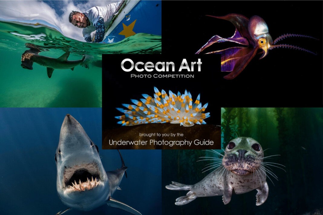 Ocean Art Photo Contest