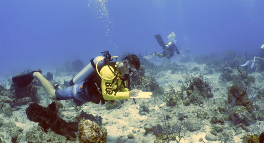 Turks & Caicos Reef Fund And Aggressor Adventures Team Up