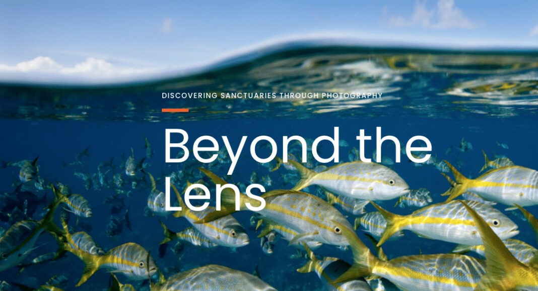 Beyond The Lens- Discovering Marine Sanctuaries Through Photography