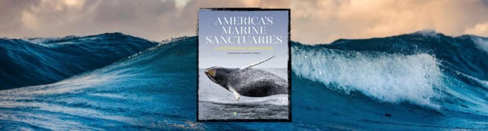 American Seas: Exploring the National Marine Sanctuaries: A Photographic Exploration