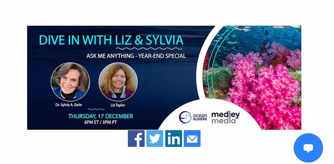 Dive In With Liz and Sylvia