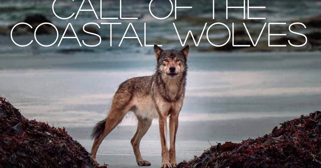 Call of the Coastal Wolves documentary