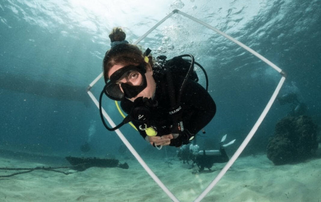 ZuBlu Unveils Ecoventures Dive Travel Programs