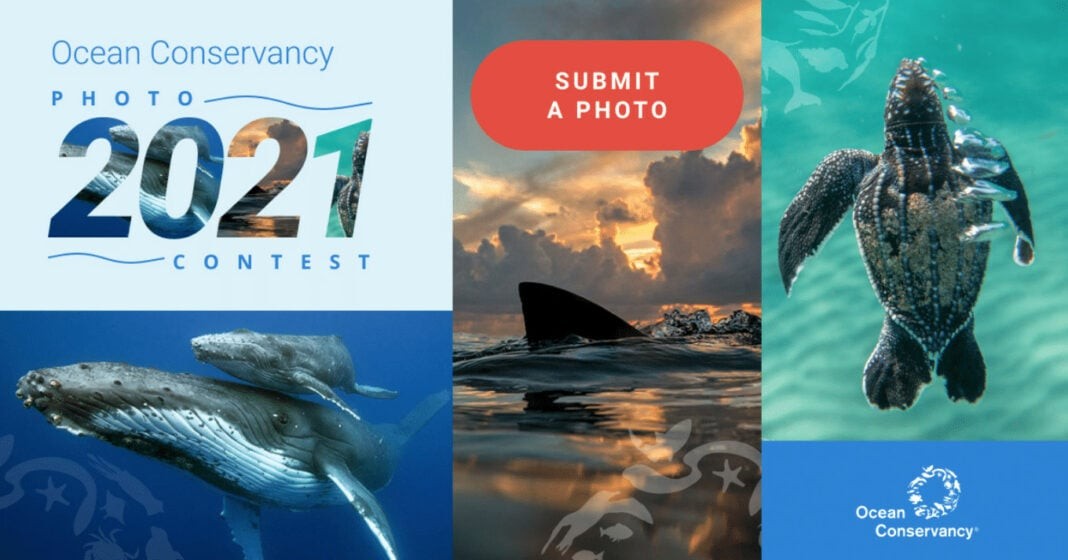 Ocean Conservancy 2021 Photo Contest