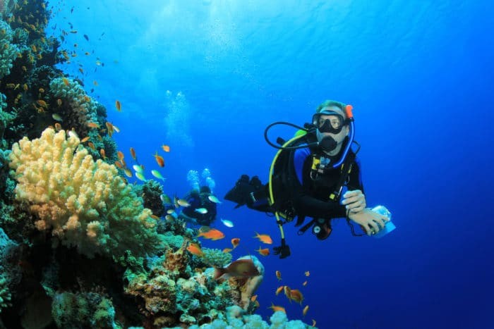 Scuba Diving Jobs can be very satisfying