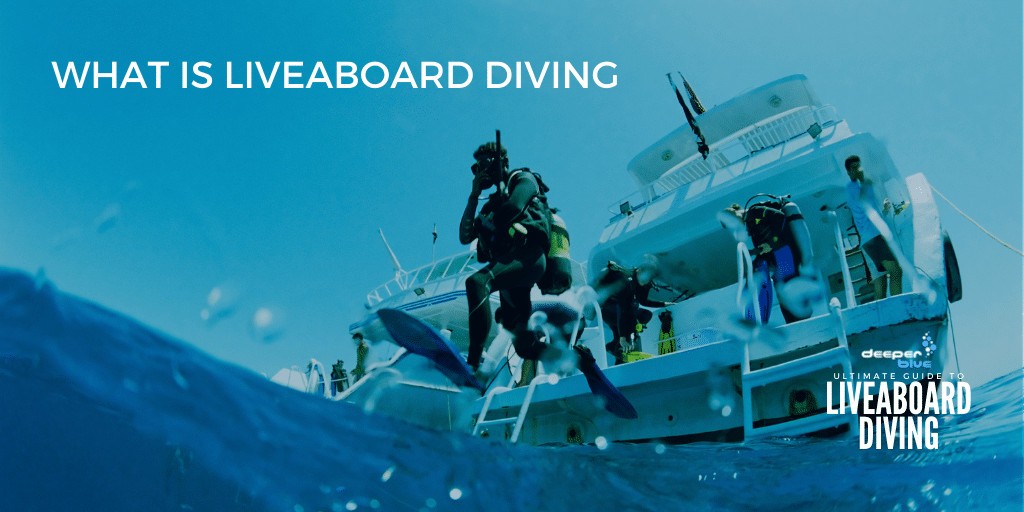 What Is Liveaboard Diving?