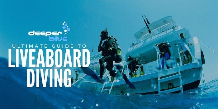 The DeeperBlue.com Ultimate Guide to Liveaboard Diving - Header