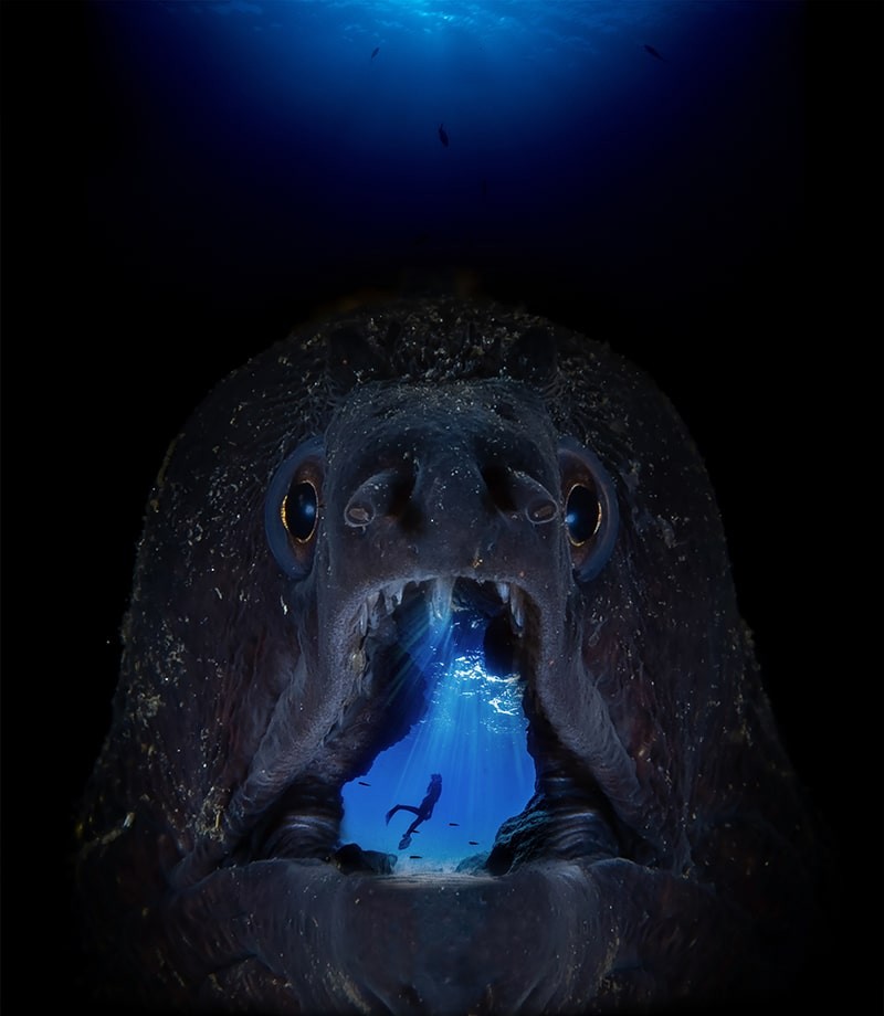 'Digital Ocean Photo Art' Winner Francisco Sedano