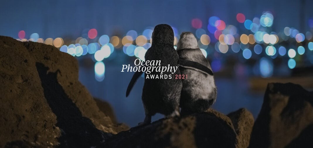 Ocean Photography Awards (Image credit- Tobias Baumgaertner)