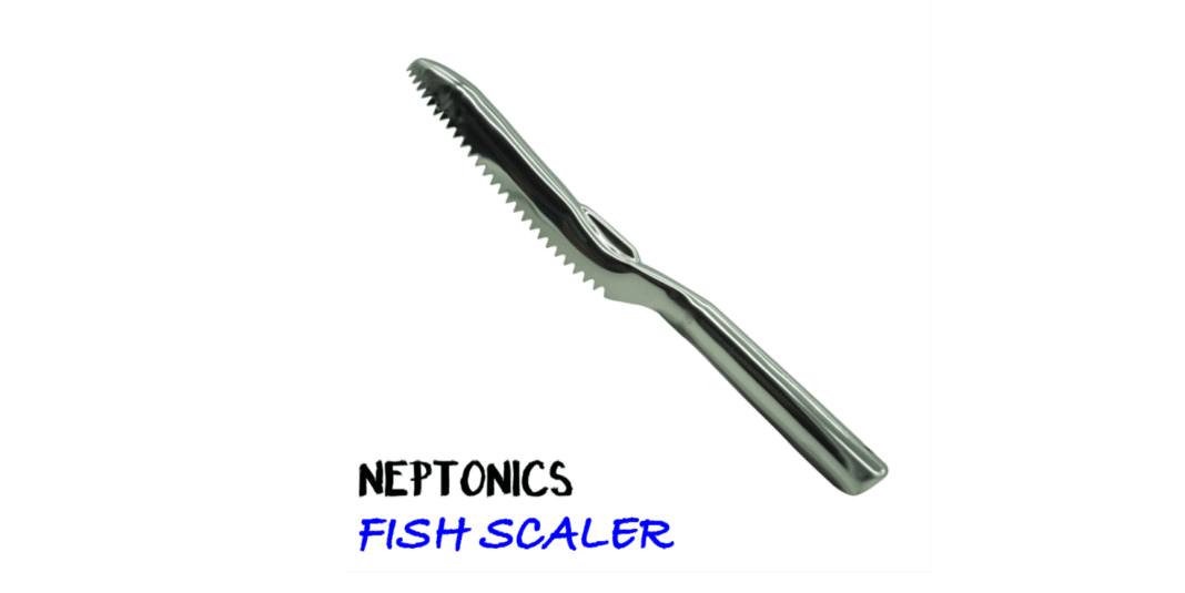 Neptonics-Fish-Scaler