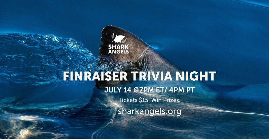 Shark Angels 'Finraiser' Trivia Night