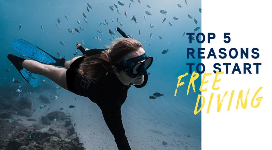 Top 5 Reasons to Start Freediving - Huish Outdoors