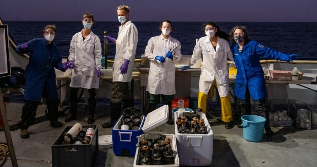 Science Team aboard Schmidt Ocean Institute's Falkor