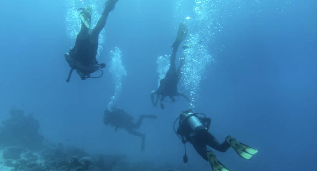 Aqaba, Jordan Diving (AdobeStock)