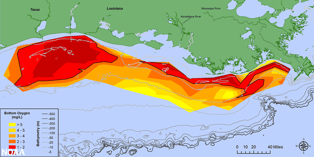 Map of measured Gulf hypoxia zone, July 25-31, 2021-LUMCON-NOAA