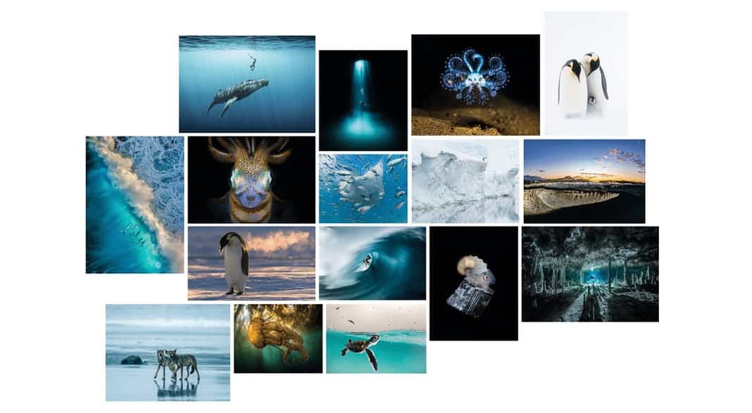 2021 Ocean Photography Award Finaliists Announced