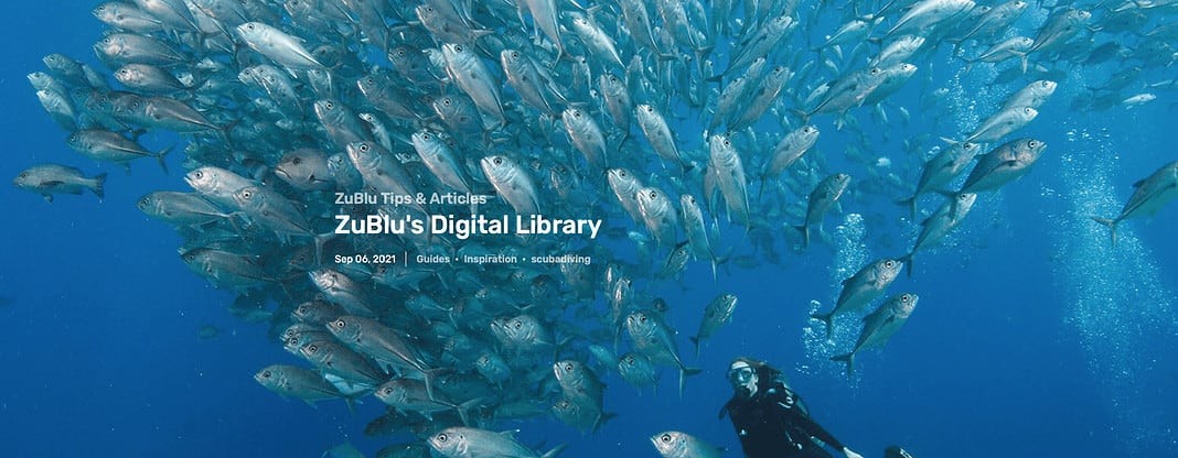 ZuBlu's Digital Dive Guide Library