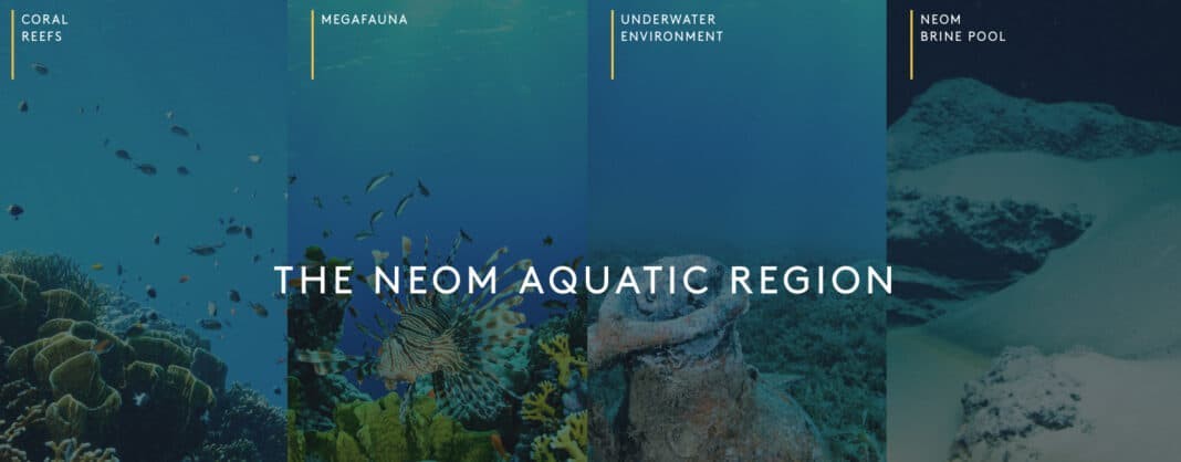 NEOM - OceanX Red Sea Expedition