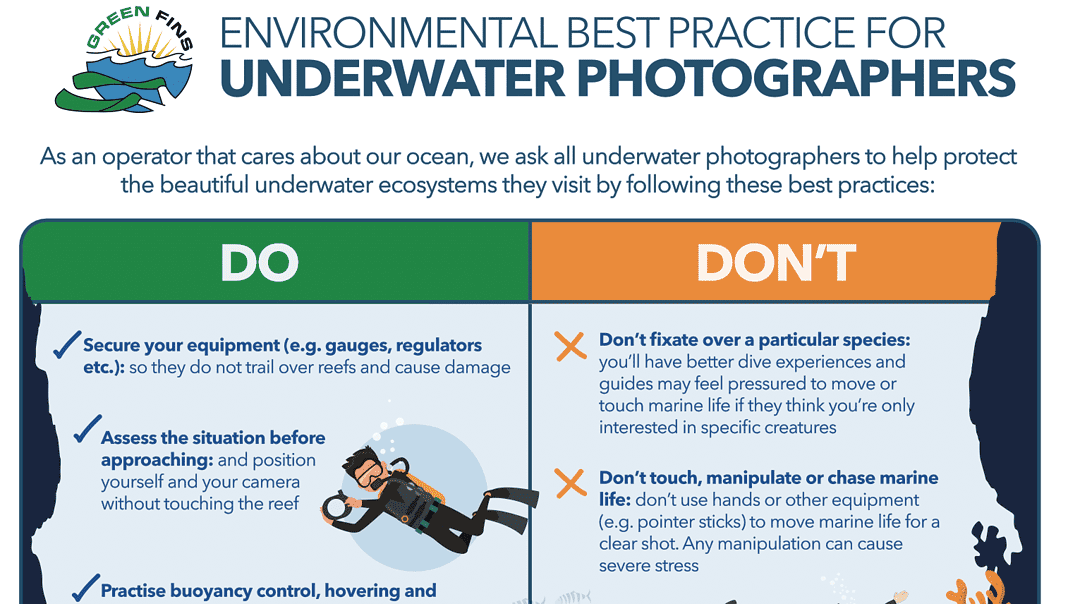 Green Fins Best Practices for Underwater Photography