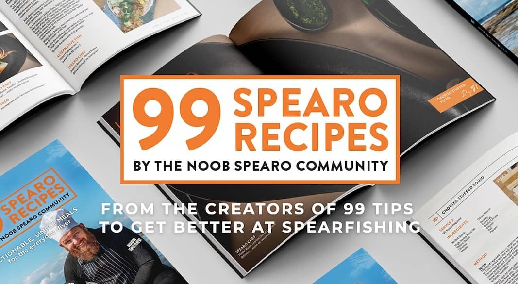 Spearo Recipe Book on Kickstarter