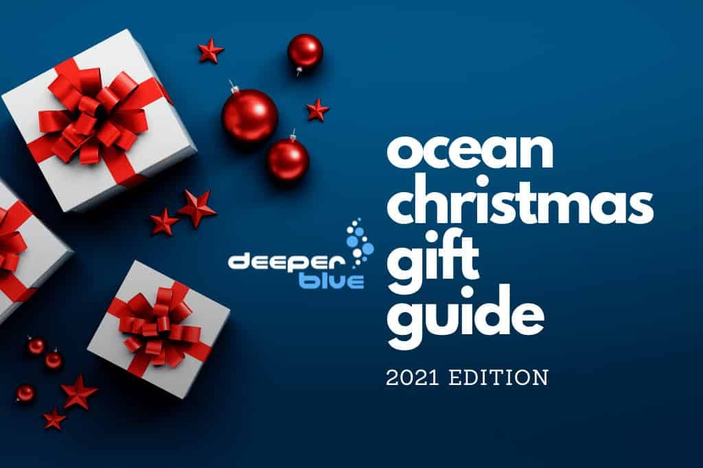 2021 Ocean Christmas Gift Guide