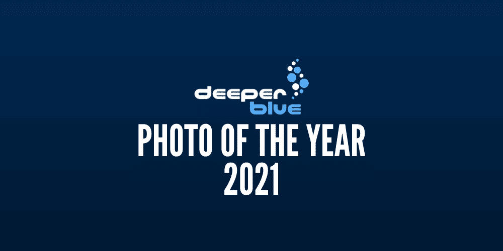 DeeperBlue.com - Photo Of The Year 2021