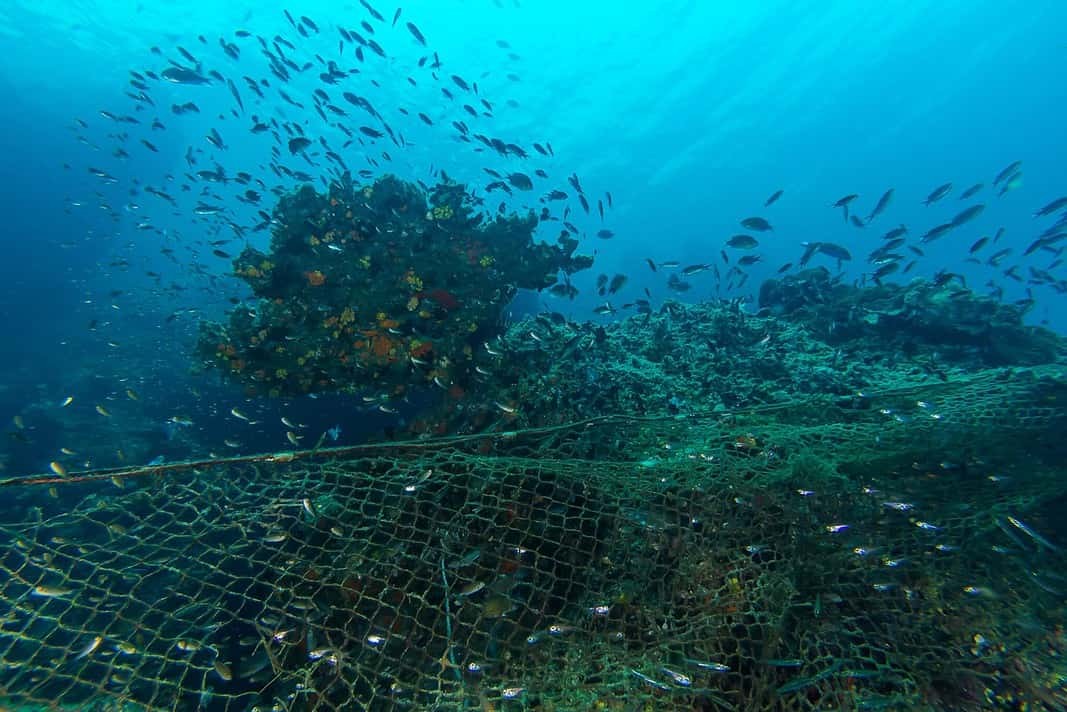 Illegal Fishing in the marine national park (Image credit: Adobe Stock)