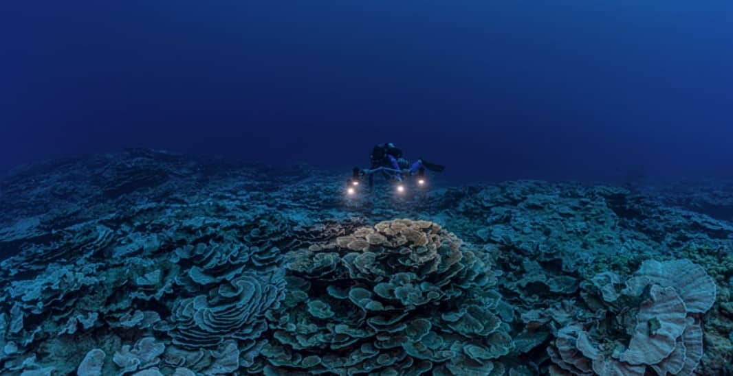 Deep Reef (Image credit- UNESCO/Alexis Rosenfeld)