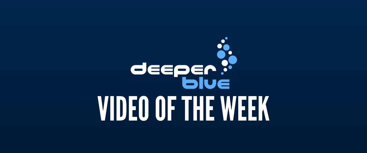DeeperBlue.com - Video of the Week